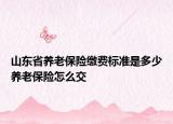 山東省養(yǎng)老保險(xiǎn)繳費(fèi)標(biāo)準(zhǔn)是多少養(yǎng)老保險(xiǎn)怎么交