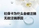 社?？槭裁磿蛔N無故注銷原因