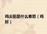 雞尖犯是什么意思（雞奸）