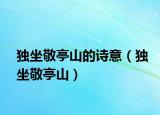 獨(dú)坐敬亭山的詩意（獨(dú)坐敬亭山）