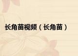 長(zhǎng)角苗視頻（長(zhǎng)角苗）
