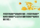 共同共有房產該如何分割（共同共有房產如何分割房產認定為夫妻共同財產如何分割介紹）