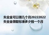 失業(yè)金可以領(lǐng)幾個(gè)月20222022失業(yè)金領(lǐng)取標(biāo)準(zhǔn)多少錢(qián)一個(gè)月
