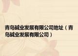 青島堿業(yè)發(fā)展有限公司地址（青島堿業(yè)發(fā)展有限公司）