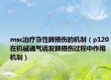 msc治療急性肺損傷的機(jī)制（p120在機(jī)械通氣誘發(fā)肺損傷過程中作用機(jī)制）