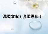 溫柔文案（溫柔縱我）