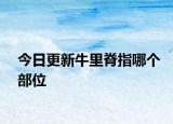 今日更新牛里脊指哪個部位