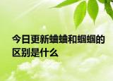 今日更新蛐蛐和蟈蟈的區(qū)別是什么