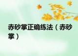 赤砂掌正確練法（赤砂掌）