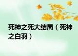 死神之死大結局（死神之白羽）