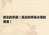 逝去的承諾（逝去的青春永恒的諾言）