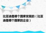 比亞迪是哪個國家發(fā)展的（比亞迪是哪個國家的企業(yè)）