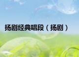 揚(yáng)劇經(jīng)典唱段（揚(yáng)?。? /></span></a>
                        <h2><a  title=