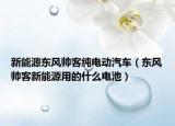 新能源東風帥客純電動汽車（東風帥客新能源用的什么電池）