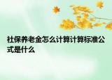 社保養(yǎng)老金怎么計算計算標(biāo)準(zhǔn)公式是什么