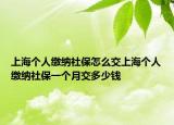 上海個(gè)人繳納社保怎么交上海個(gè)人繳納社保一個(gè)月交多少錢