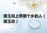 龐玉良上蔡哪個(gè)鄉(xiāng)的人（龐玉良）
