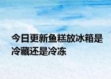 今日更新魚糕放冰箱是冷藏還是冷凍