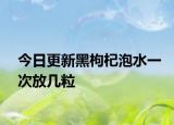 今日更新黑枸杞泡水一次放幾粒