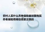 農(nóng)村人買什么養(yǎng)老保險最劃算購買養(yǎng)老保險有哪些需要注意的