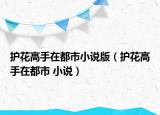 護(hù)花高手在都市小說版（護(hù)花高手在都市 小說）