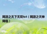 網(wǎng)游之天下無雙txt（網(wǎng)游之天神降臨）