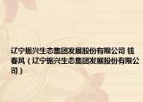 遼寧振興生態(tài)集團(tuán)發(fā)展股份有限公司 錢(qián)春風(fēng)（遼寧振興生態(tài)集團(tuán)發(fā)展股份有限公司）