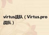 virtus戰(zhàn)隊(duì)（Virtus.pro戰(zhàn)隊(duì)）