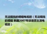 無法阻擋的婚姻電視?。o法阻擋的婚姻 韓國2007年徐道營主演電視劇）