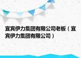 宜賓伊力集團(tuán)有限公司老板（宜賓伊力集團(tuán)有限公司）