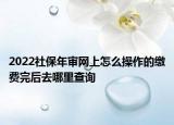 2022社保年審網(wǎng)上怎么操作的繳費(fèi)完后去哪里查詢