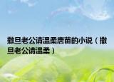 撒旦老公請溫柔唐苗的小說（撒旦老公請溫柔）