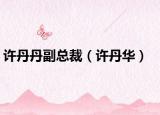 許丹丹副總裁（許丹華）