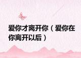 愛你才離開你（愛你在你離開以后）