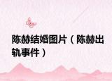 陳赫結(jié)婚圖片（陳赫出軌事件）