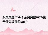 東風(fēng)風(fēng)度mx6（東風(fēng)風(fēng)度mx6屬于什么級別的suv）