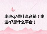 奧迪q7是什么音箱（奧迪q7是什么平臺）