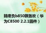 鍗庝負b850鍥轟歡（華為C8500 2.2.1固件）