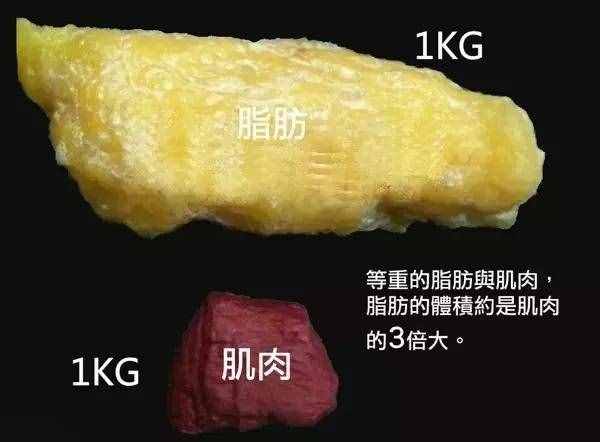 外行減體重，內(nèi)行減體脂！減掉5斤純脂肪，需要消耗多少熱量？