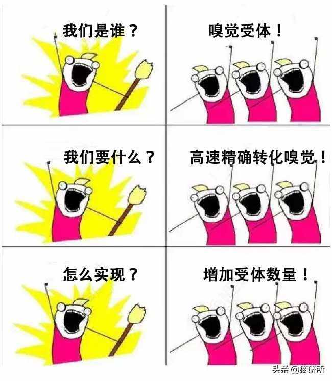 聞了你的腳丫子，貓咪為啥會(huì)張嘴？原因竟是...