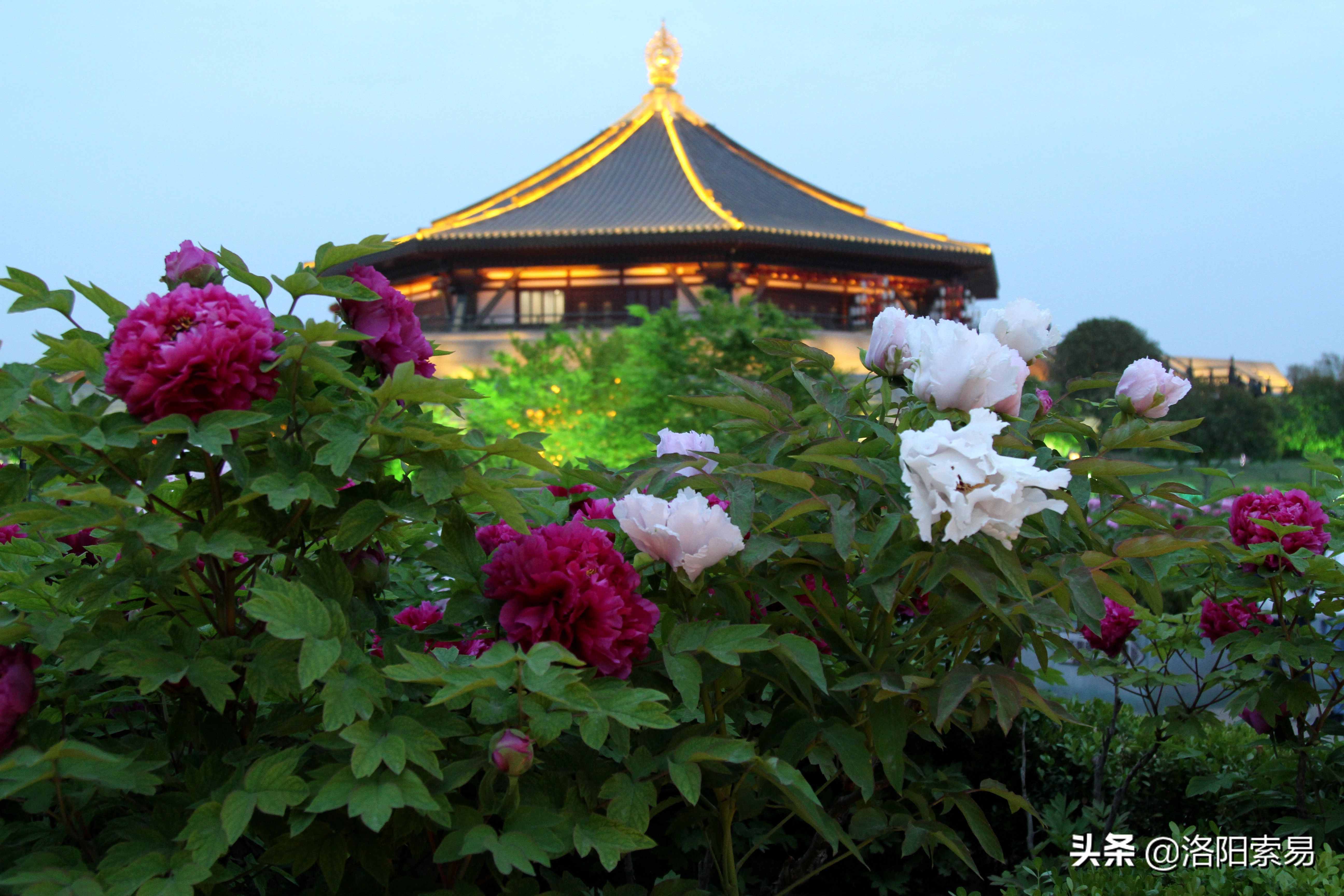 在洛陽(yáng)執(zhí)政的帝王唐中宗李顯