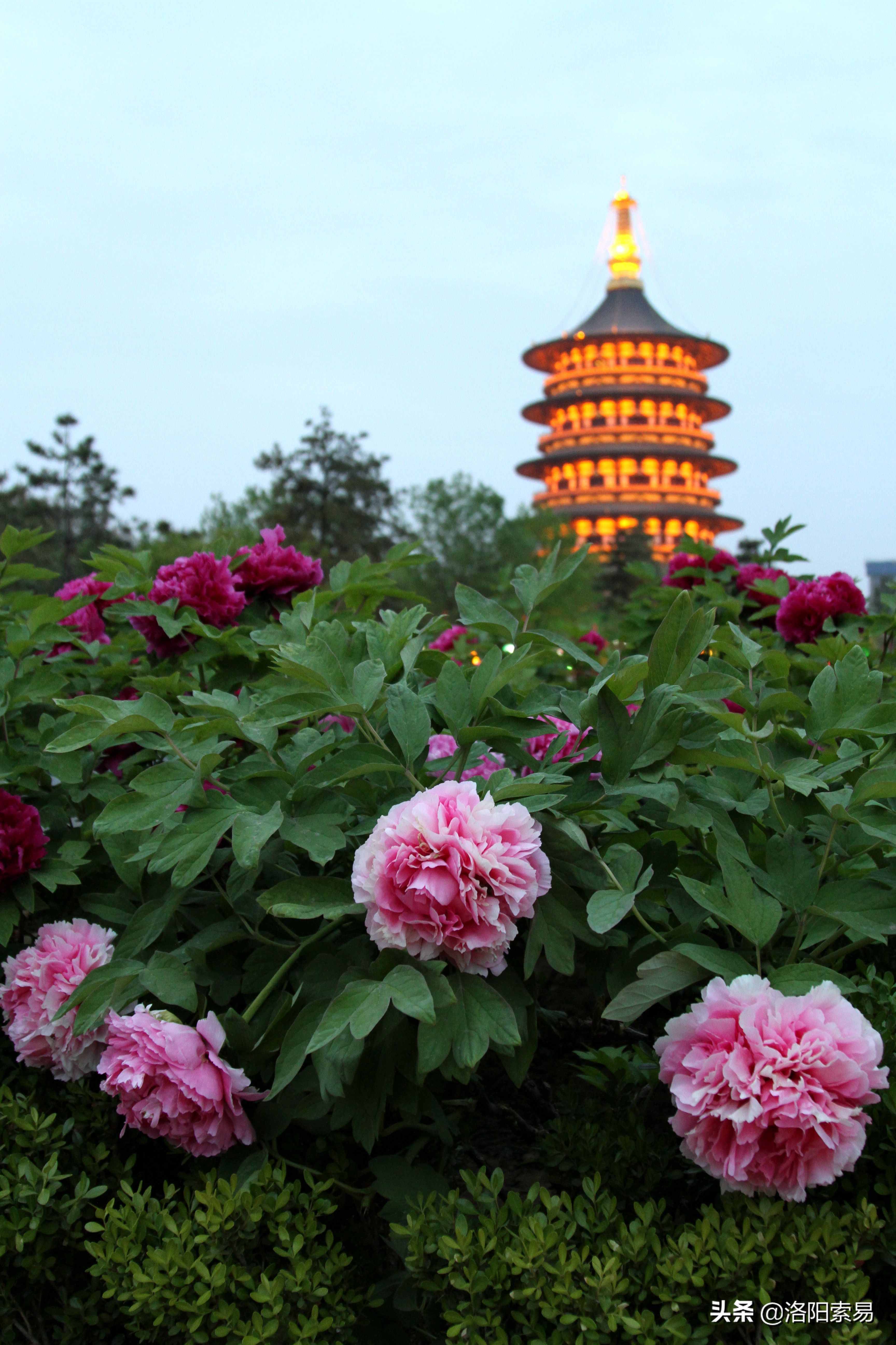在洛陽(yáng)執(zhí)政的帝王唐中宗李顯