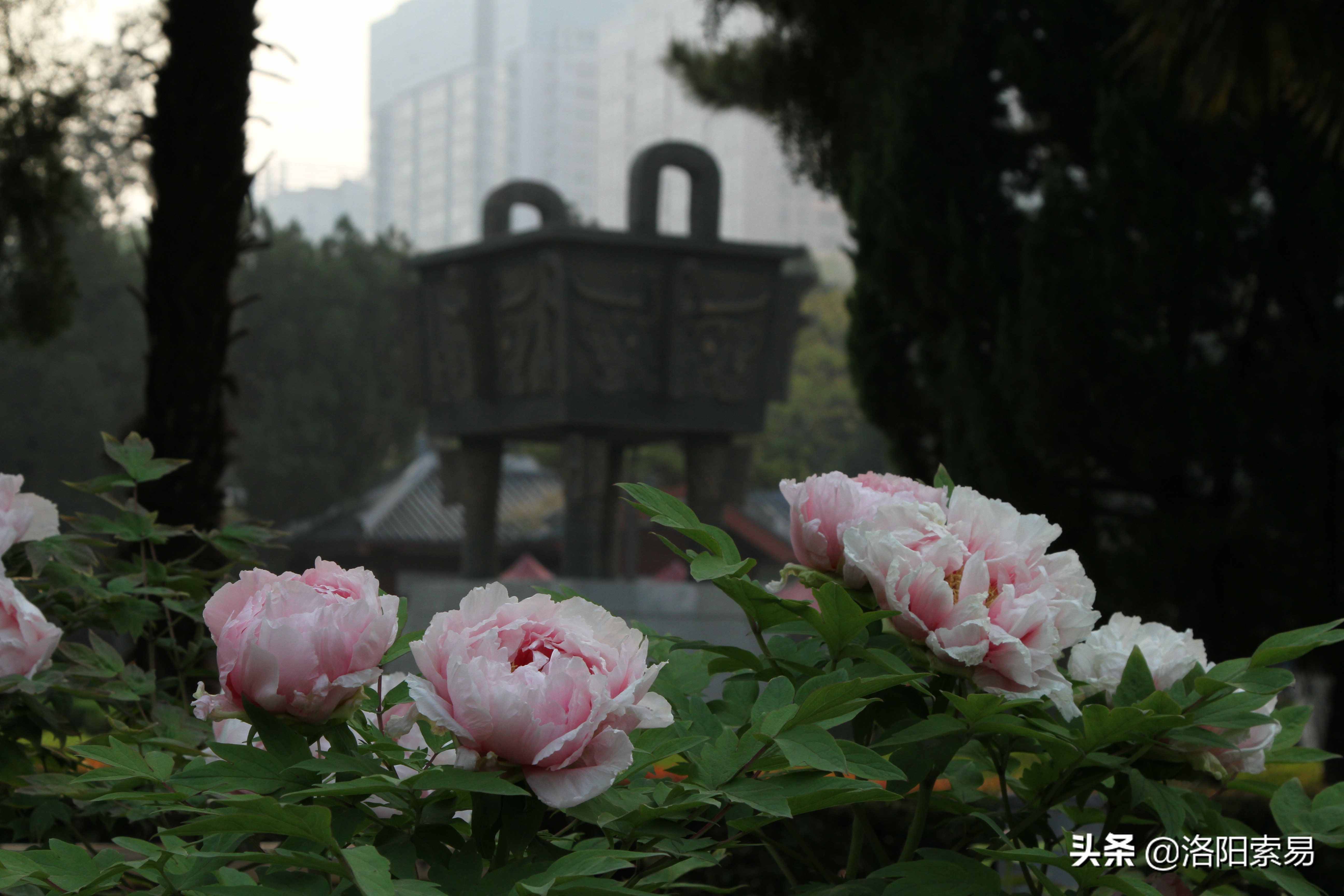 在洛陽(yáng)執(zhí)政的帝王唐中宗李顯