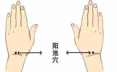 陽池的簡易找法，陽池穴的神奇功效與作用