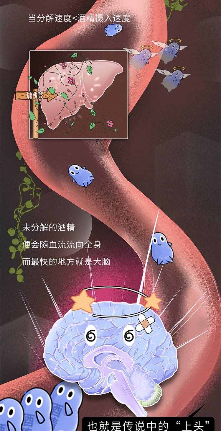 吃什么能快速解酒？蜂蜜、濃茶都沒(méi)用！真正有效的方法是這2個(gè)