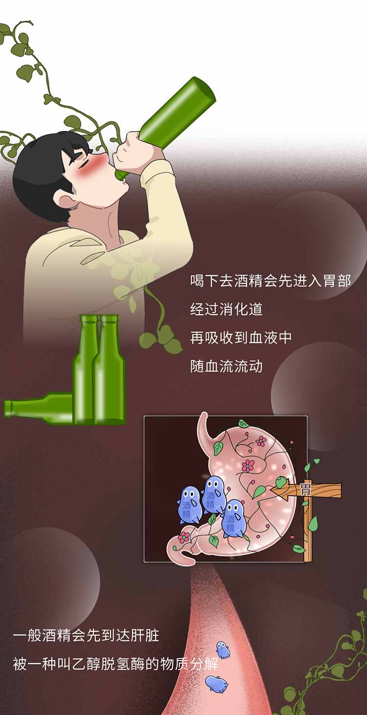 吃什么能快速解酒？蜂蜜、濃茶都沒(méi)用！真正有效的方法是這2個(gè)