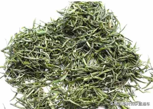 信陽毛尖是什么茶 這四點誤區(qū)需要了解