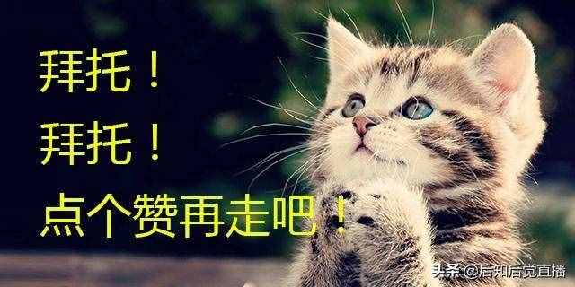 藍(lán)籌股和白馬股的區(qū)別是什么？分別有什么特征