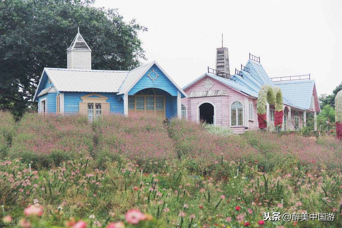 探訪夢幻百花洲，大型花卉主題休閑勝地，環(huán)境優(yōu)美