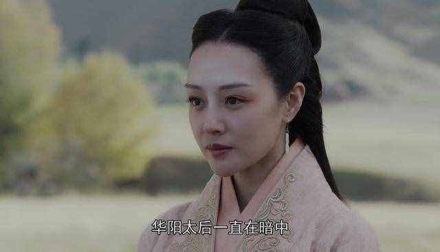 《大秦賦》：羋華這個(gè)女人一點(diǎn)都不簡單，嬴政壓根沒有愛過她